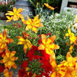 2405_vollbild_1557324214959